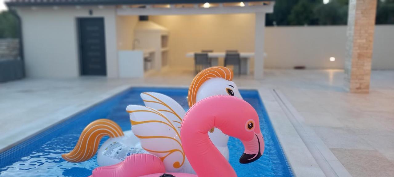 סבודרייה Villa Salvore - New Luxury House, Heated Pool, Near Beaches, Playroom - Istria מראה חיצוני תמונה